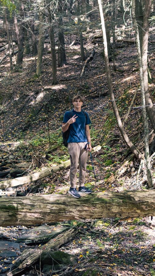 On a fallen log in the forest