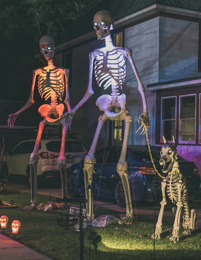 Giant skeletons and a skeleton dog on a lawn