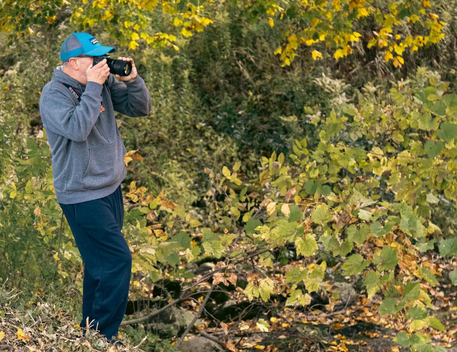 A photographer at work among yellow leaves